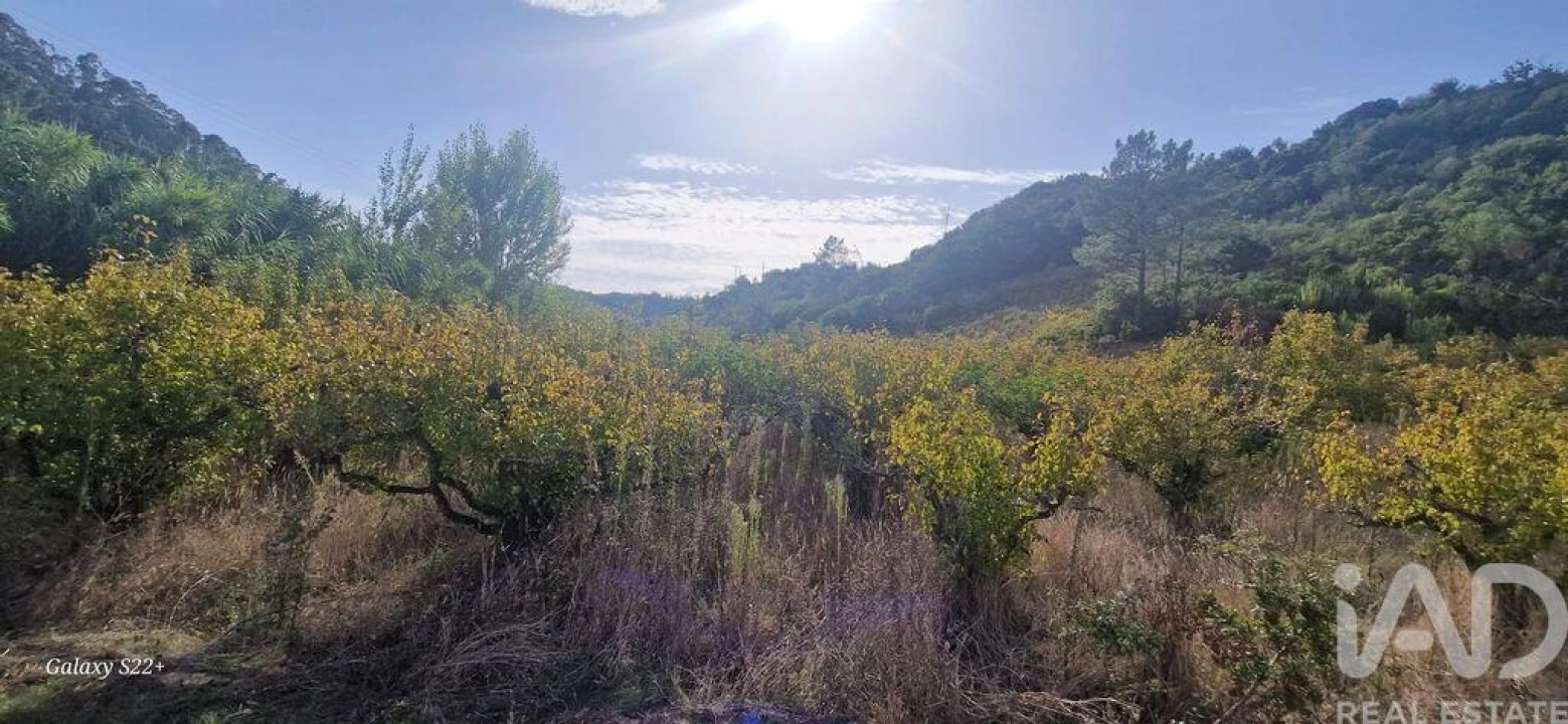 Terreno para Venda em Azueira e Sobral da Abelheira Foto 32