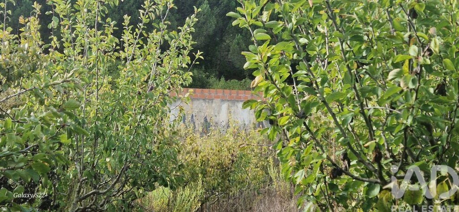 Terreno para Venda em Azueira e Sobral da Abelheira Foto 13