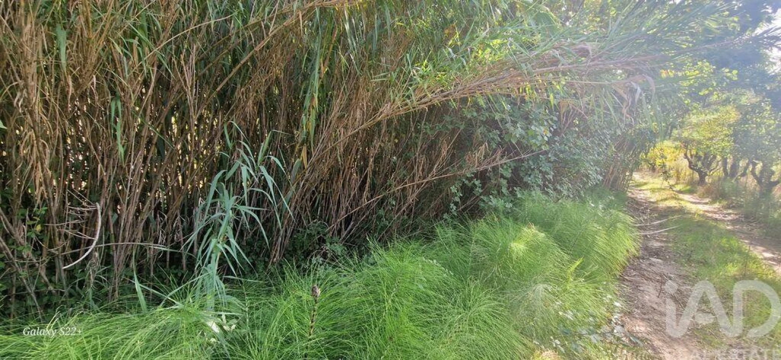 Terreno para Venda em Azueira e Sobral da Abelheira Foto 31