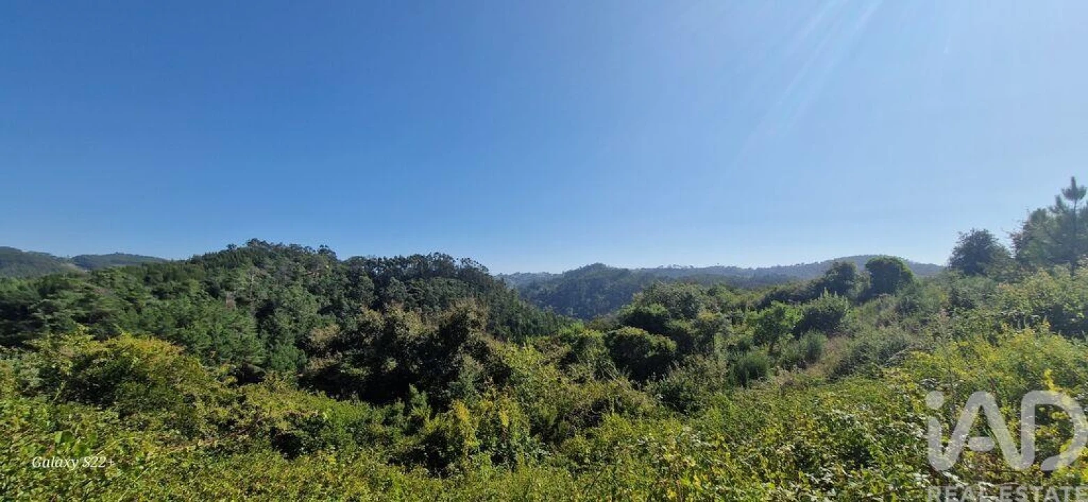 Terreno para Venda em Azueira e Sobral da Abelheira Foto 28
