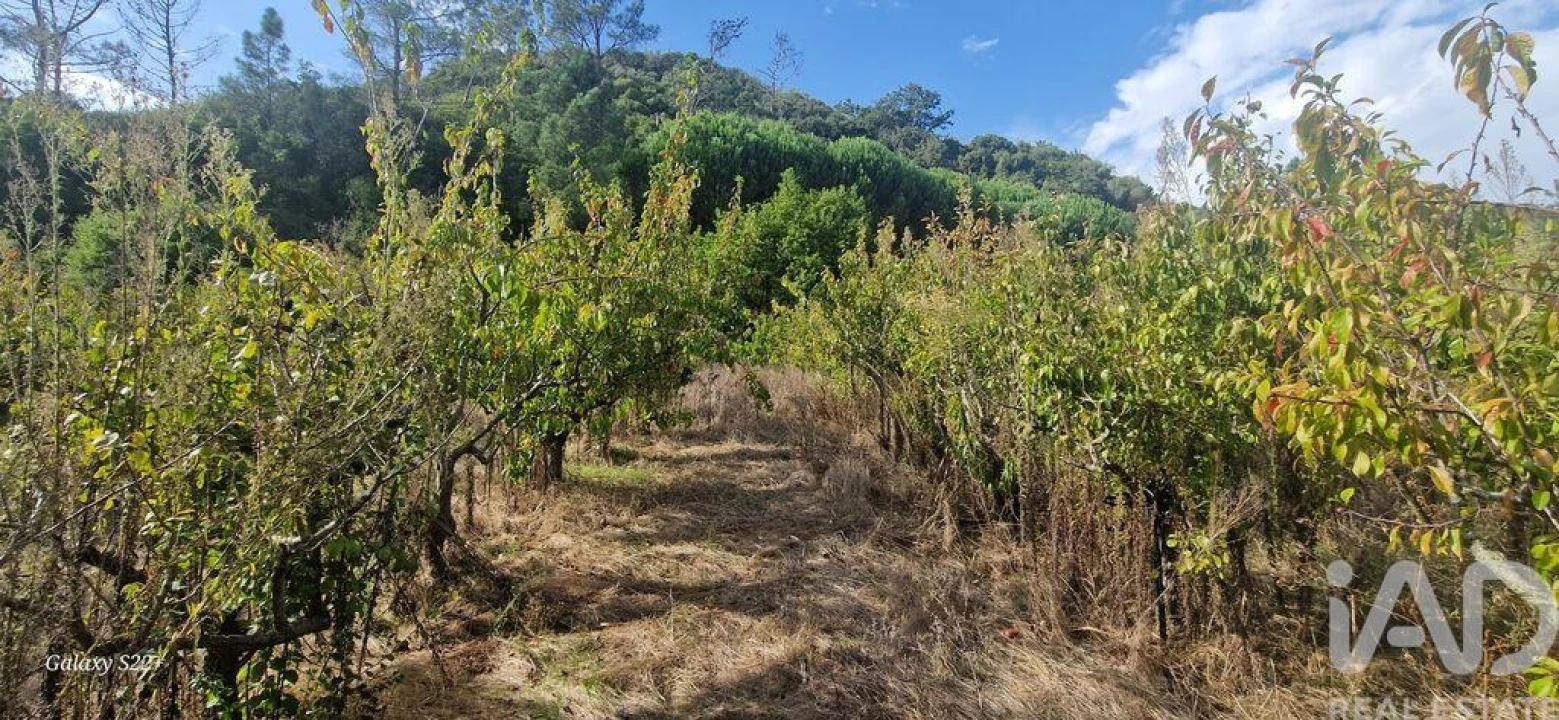 Terreno para Venda em Azueira e Sobral da Abelheira Foto 12
