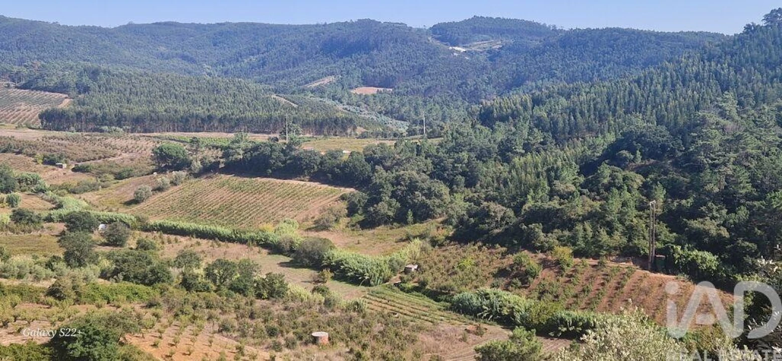 Terreno para Venda em Azueira e Sobral da Abelheira Foto 1