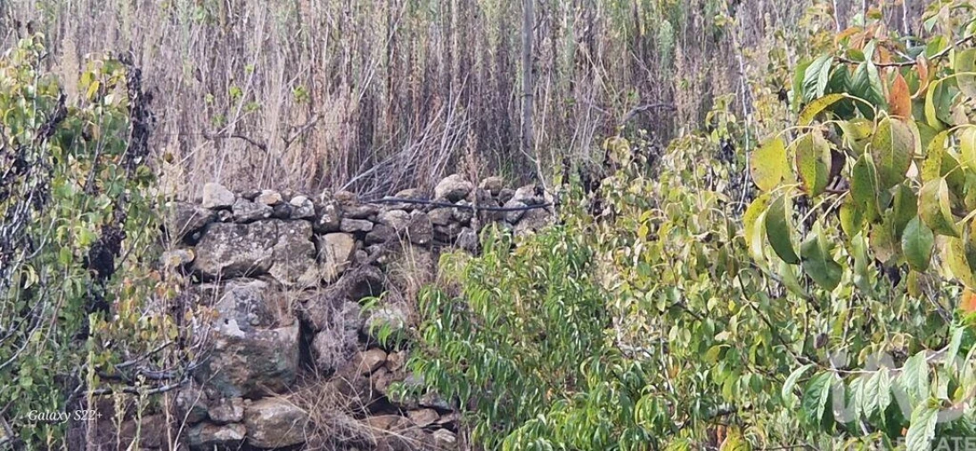 Terreno para Venda em Azueira e Sobral da Abelheira Foto 15