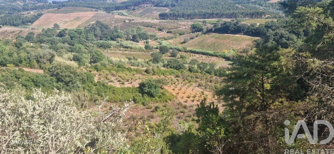 Terreno para Venda em Azueira e Sobral da Abelheira Foto 24