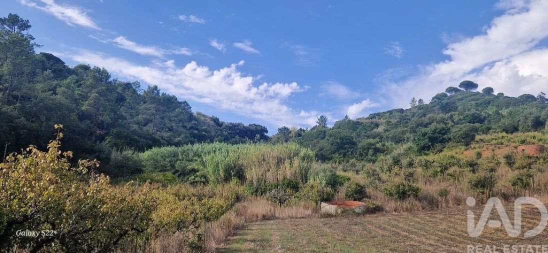 Terreno para Venda em Azueira e Sobral da Abelheira Foto 19