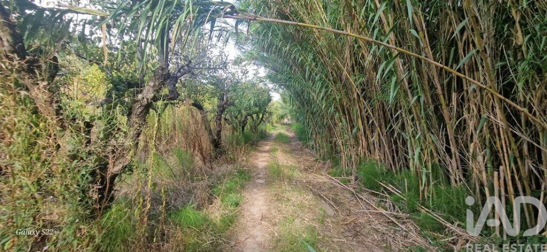 Terreno para Venda em Azueira e Sobral da Abelheira Foto 18