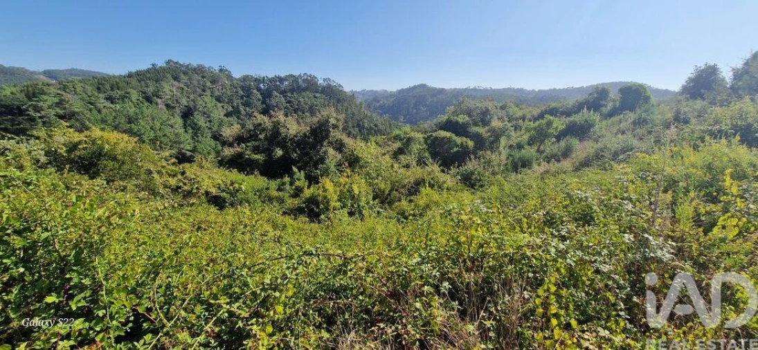 Terreno para Venda em Azueira e Sobral da Abelheira Foto 8