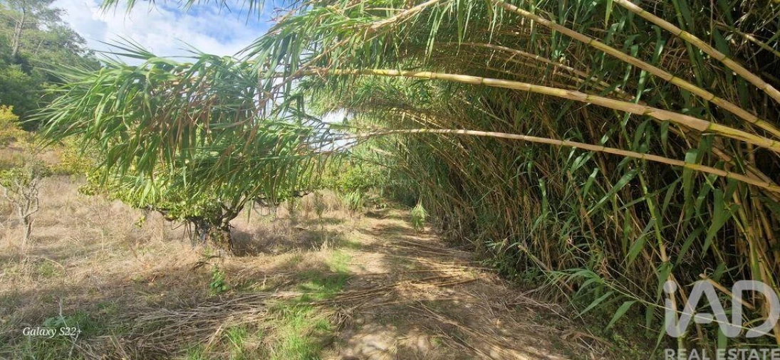 Terreno para Venda em Azueira e Sobral da Abelheira Foto 9