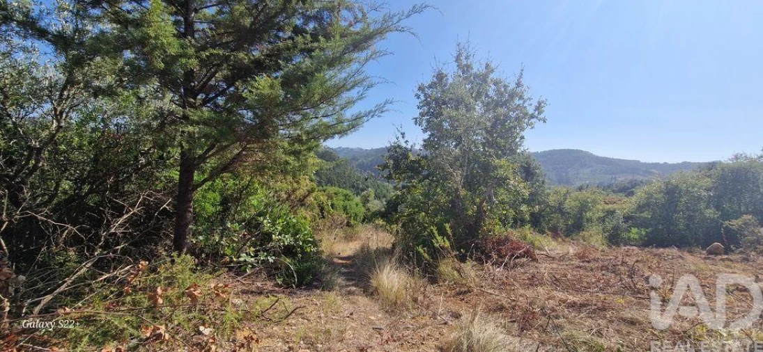 Terreno para Venda em Azueira e Sobral da Abelheira Foto 26