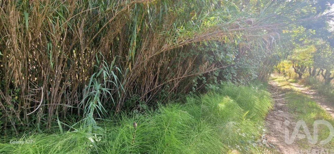 Terreno para Venda em Azueira e Sobral da Abelheira Foto 31