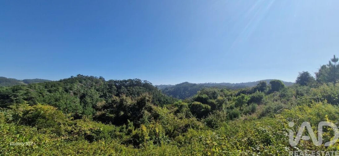 Terreno para Venda em Azueira e Sobral da Abelheira Foto 28