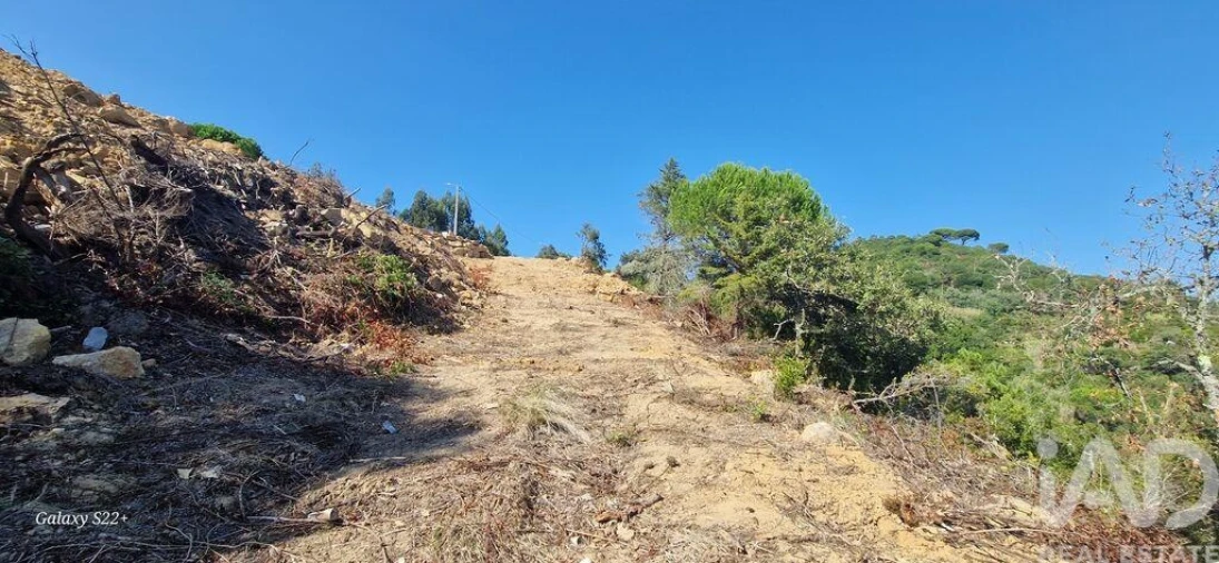 Terreno para Venda em Azueira e Sobral da Abelheira Foto 30