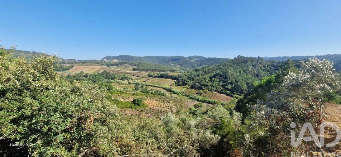 Terreno para Venda em Azueira e Sobral da Abelheira Foto 23