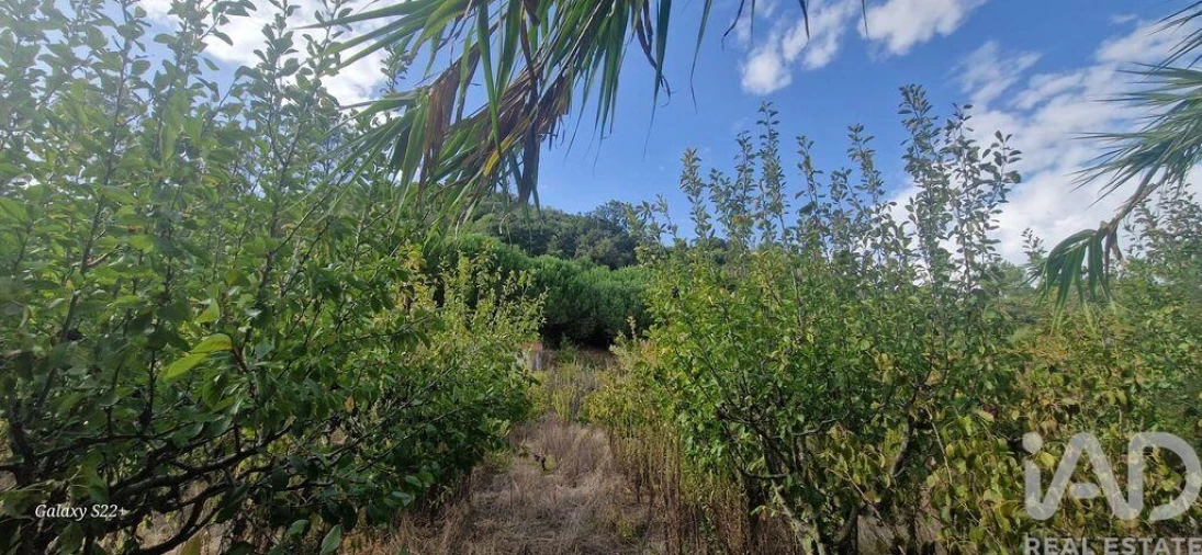 Terreno para Venda em Azueira e Sobral da Abelheira Foto 11