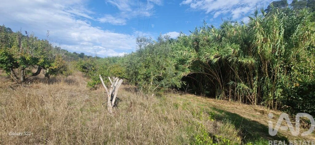 Terreno para Venda em Azueira e Sobral da Abelheira Foto 7