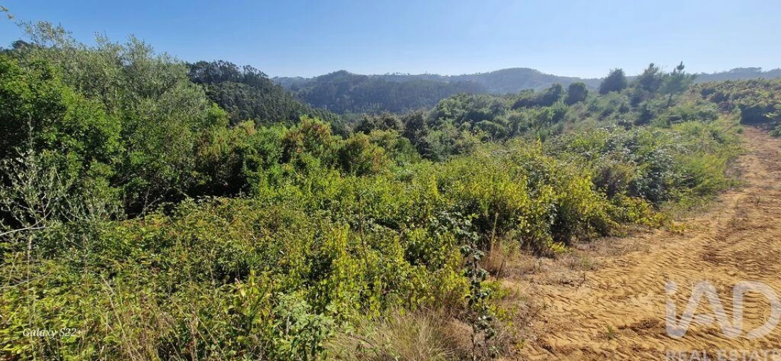 Terreno para Venda em Azueira e Sobral da Abelheira Foto 4