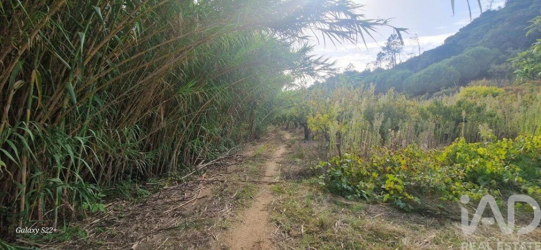 Terreno para Venda em Azueira e Sobral da Abelheira Foto 17
