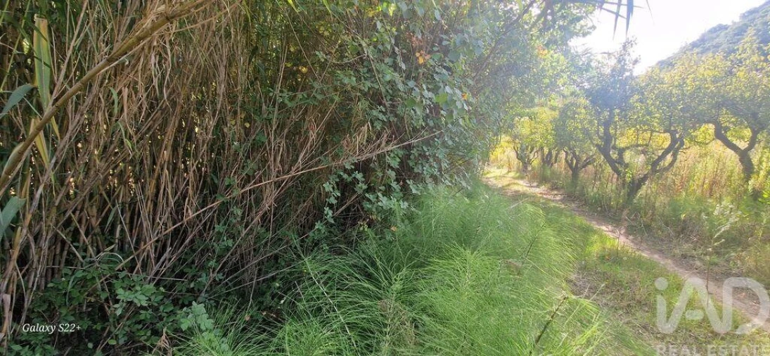 Terreno para Venda em Azueira e Sobral da Abelheira Foto 21