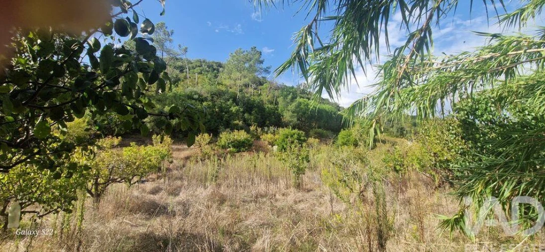 Terreno para Venda em Azueira e Sobral da Abelheira Foto 10