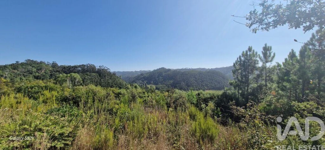 Terreno para Venda em Azueira e Sobral da Abelheira Foto 5