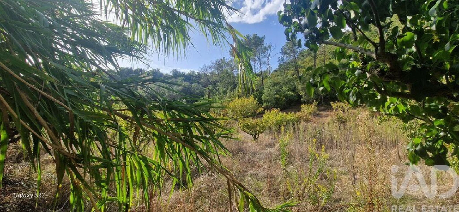 Terreno para Venda em Azueira e Sobral da Abelheira Foto 22