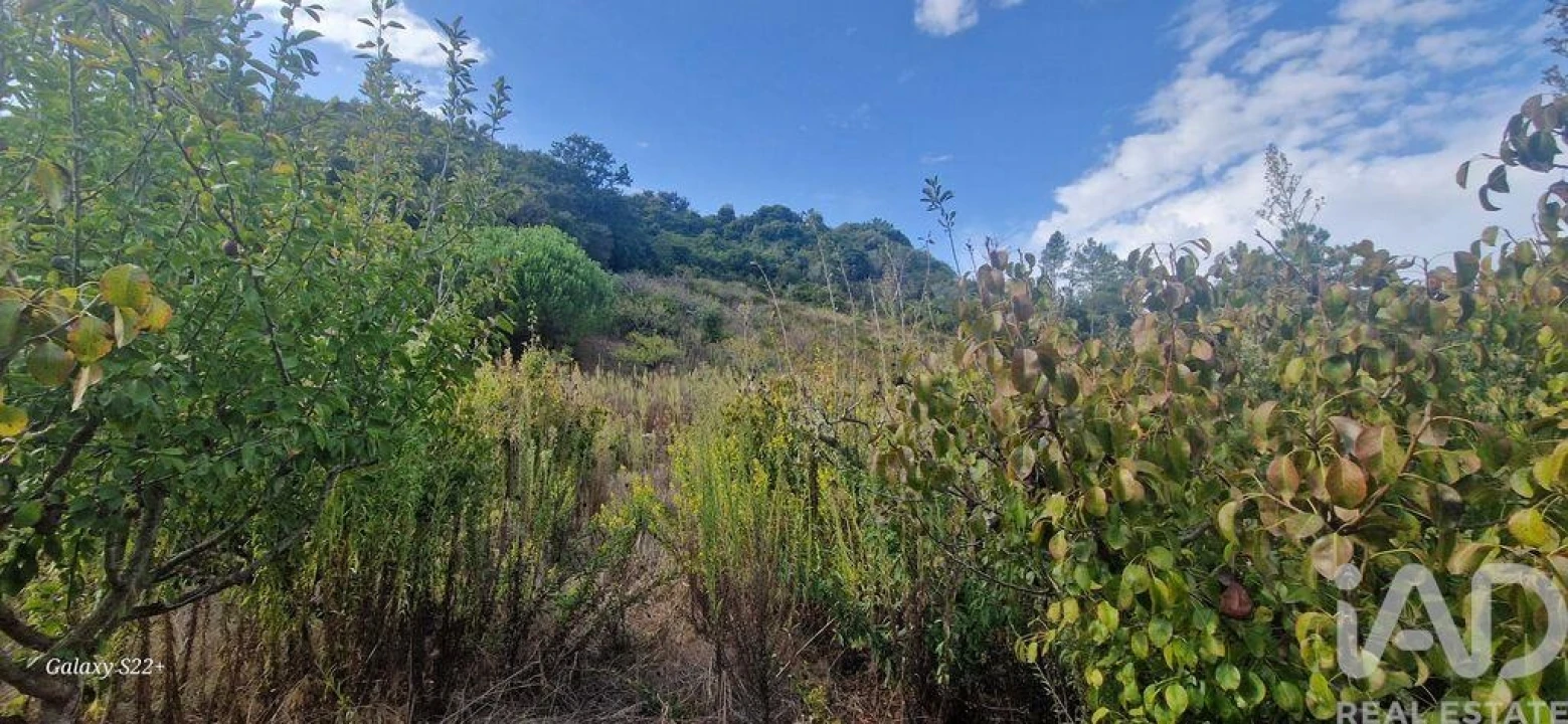 Terreno para Venda em Azueira e Sobral da Abelheira Foto 14