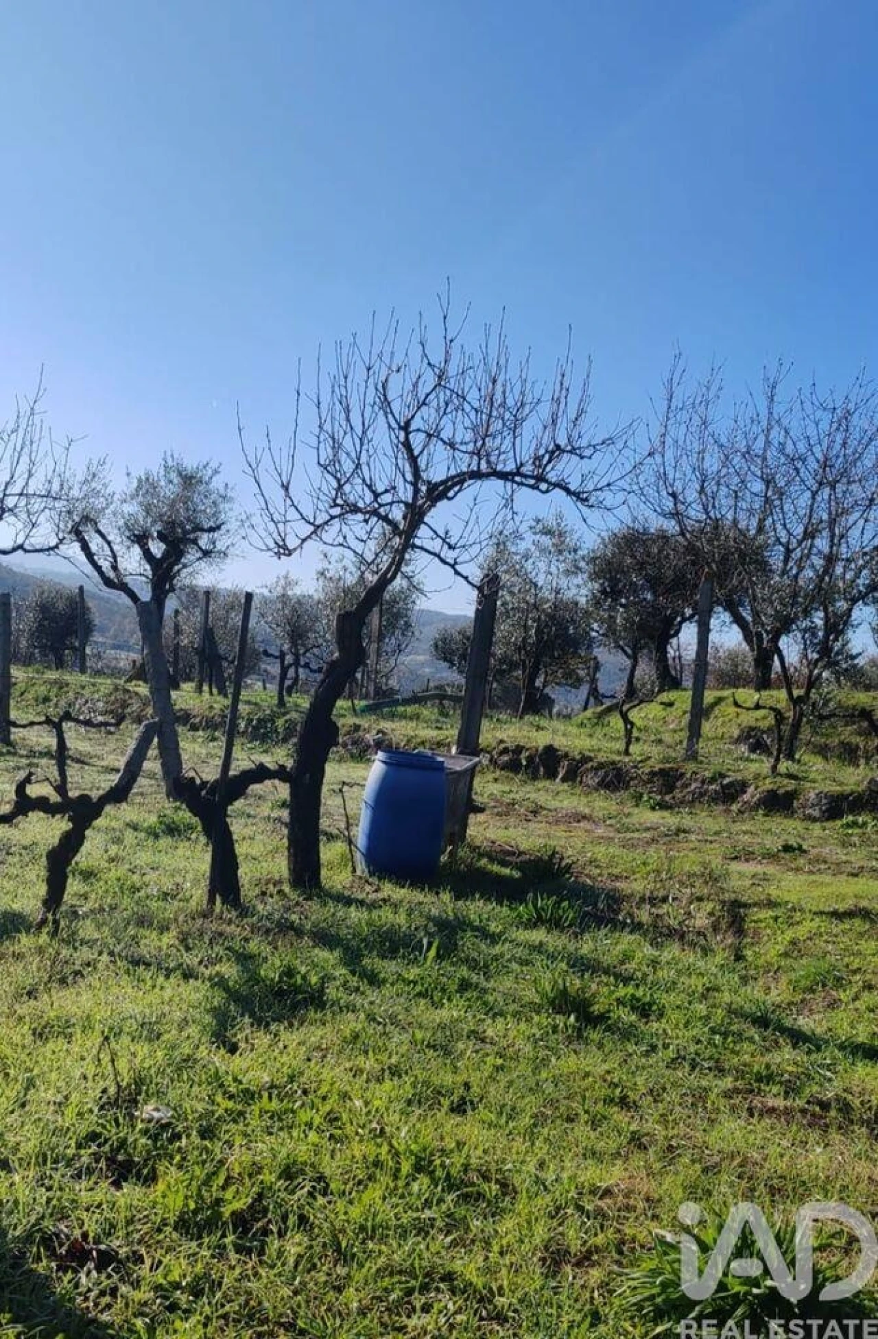 Terreno para Venda em Oliveira do Hospital e São Paio de Gramaços Foto 5