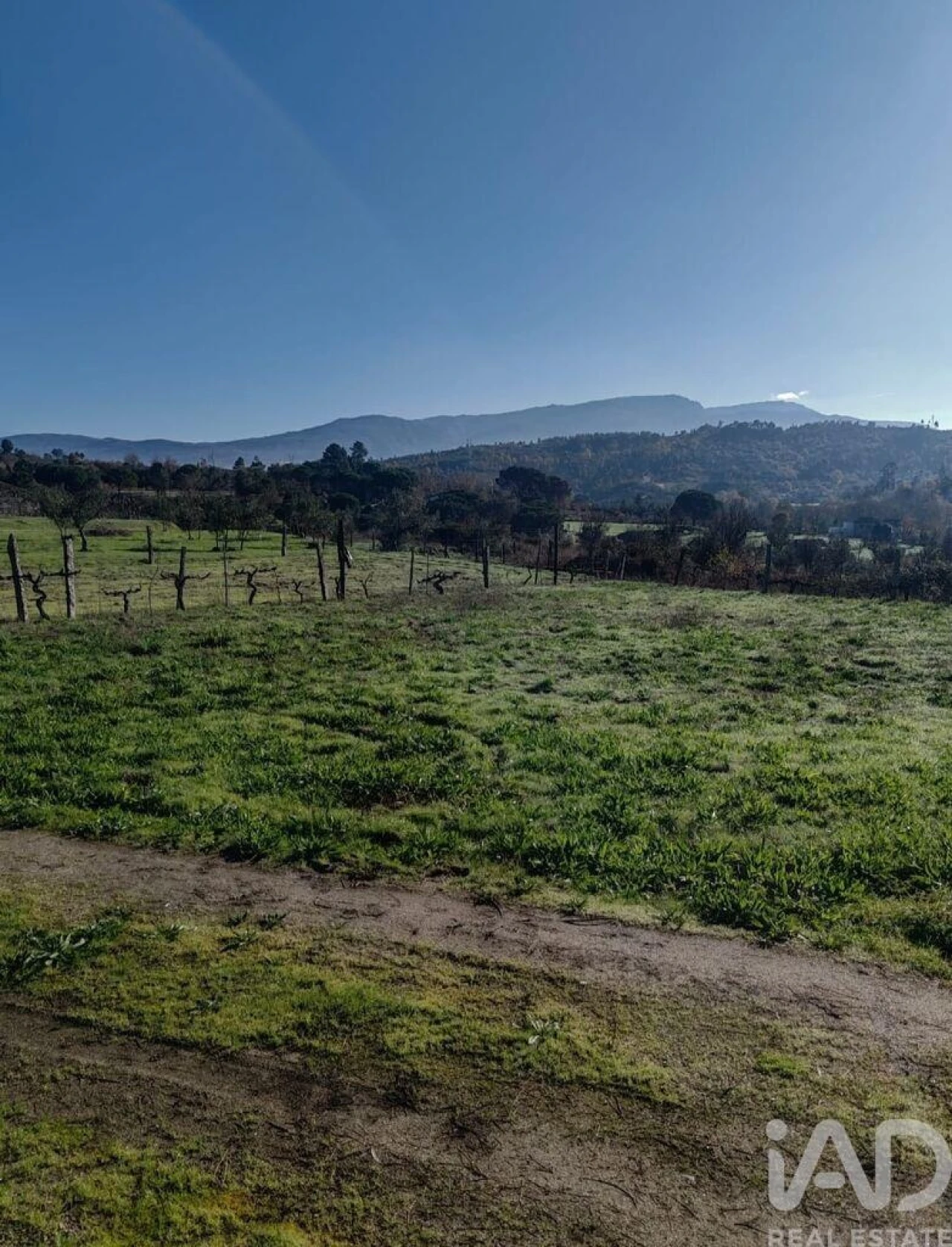 Terreno para Venda em Oliveira do Hospital e São Paio de Gramaços Foto 1