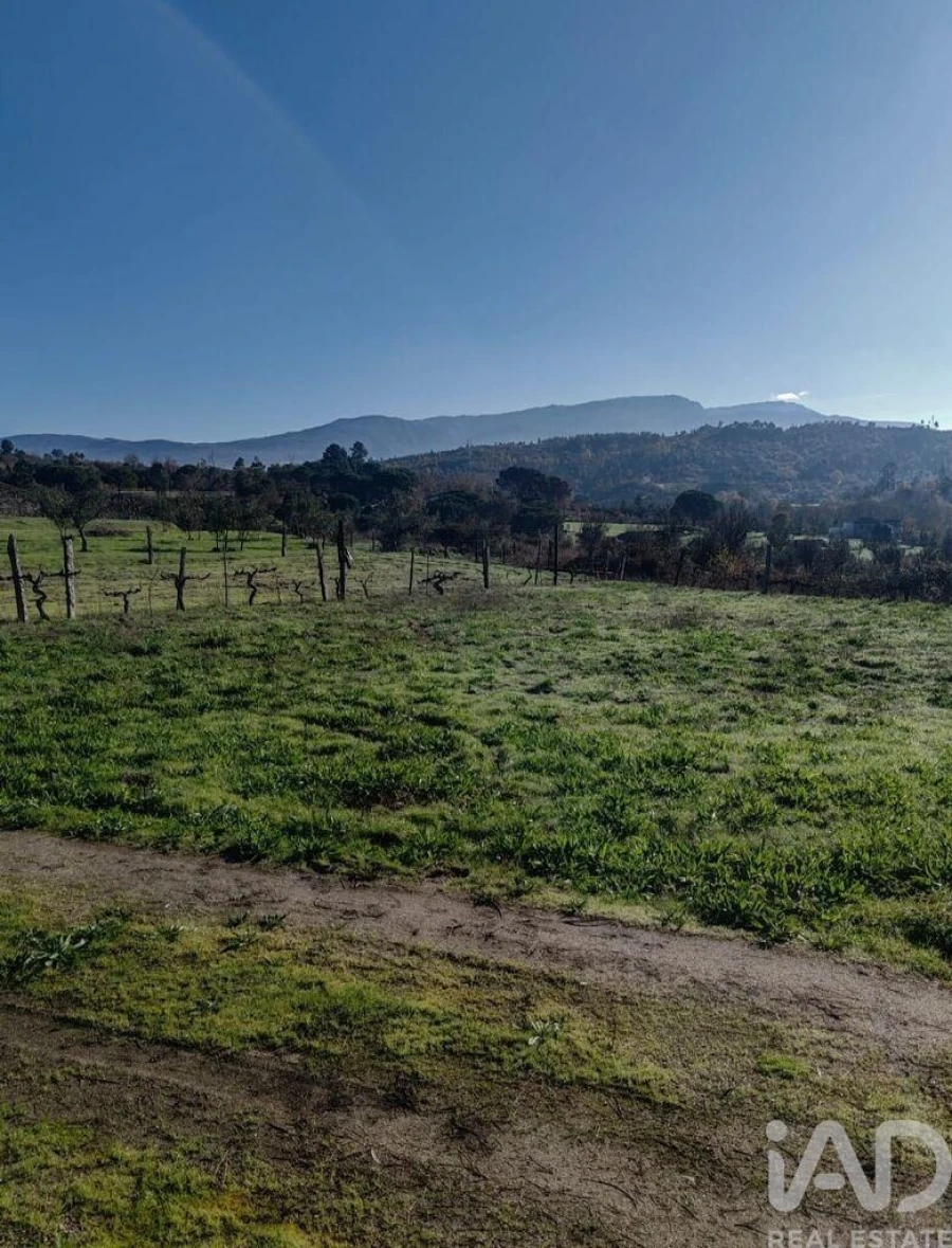 Terreno para Venda em Oliveira do Hospital e São Paio de Gramaços