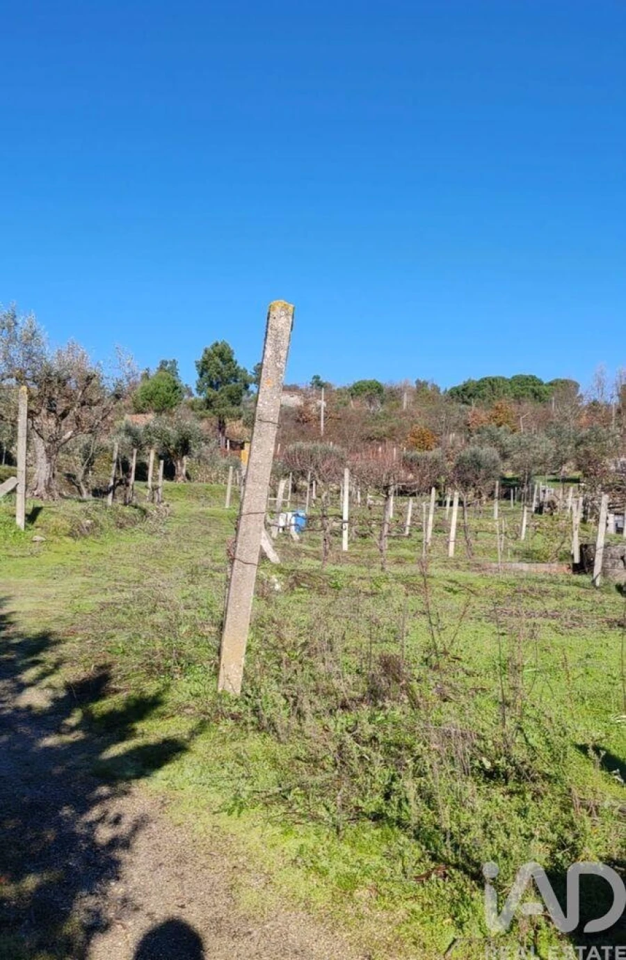 Terreno para Venda em Oliveira do Hospital e São Paio de Gramaços Foto 2