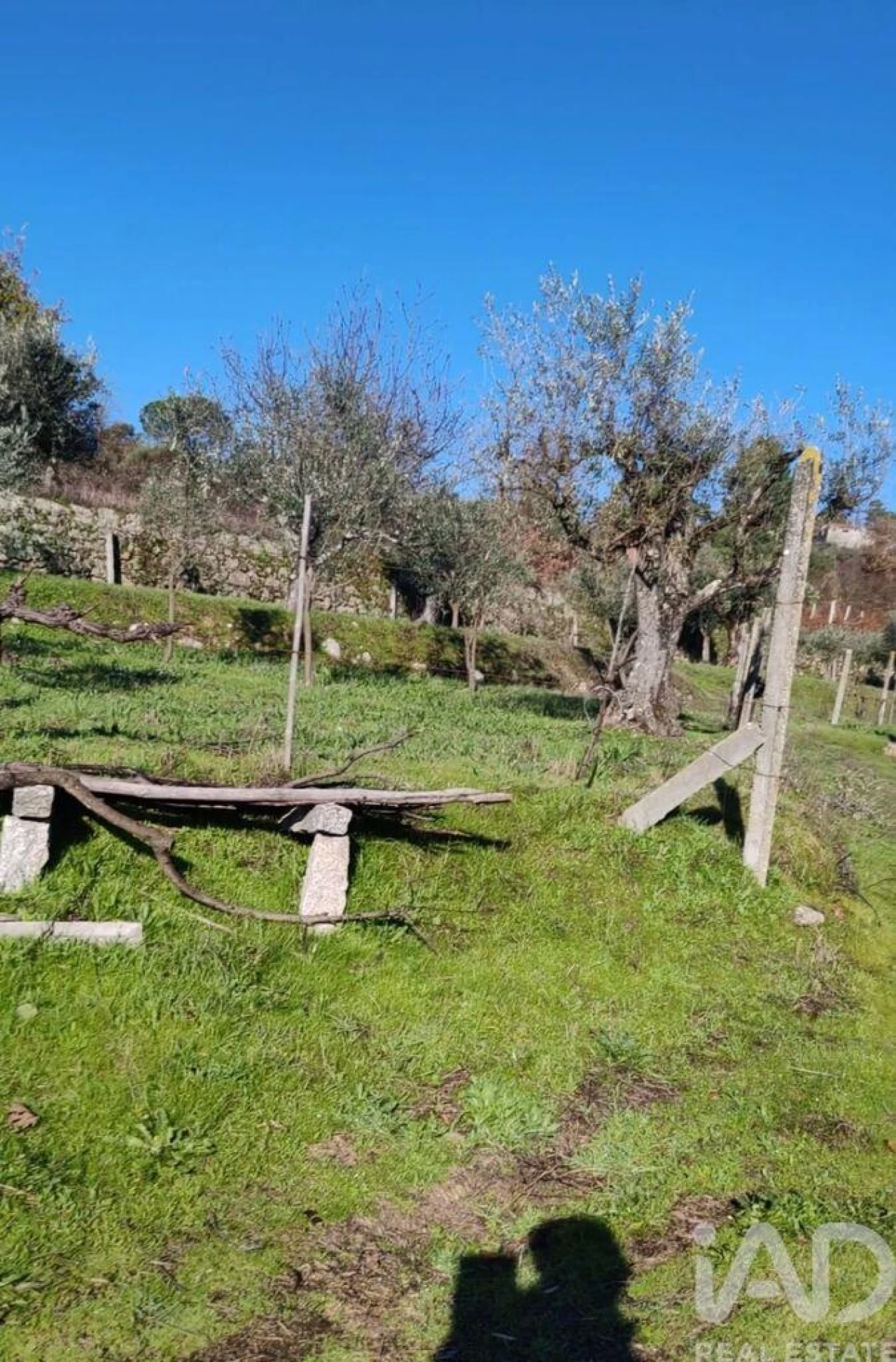 Terreno para Venda em Oliveira do Hospital e São Paio de Gramaços Foto 4
