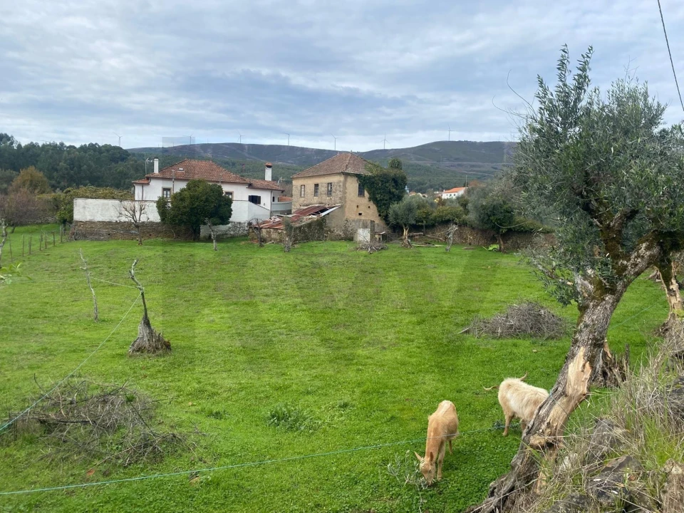 Moradia T2 para Venda em Castanheira de Pêra e Coentral Foto 2