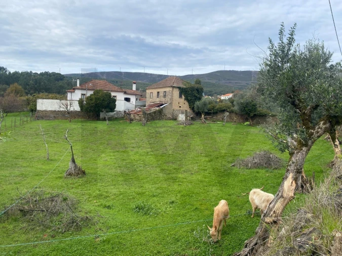 Moradia T2 para Venda em Castanheira de Pêra e Coentral Foto 2