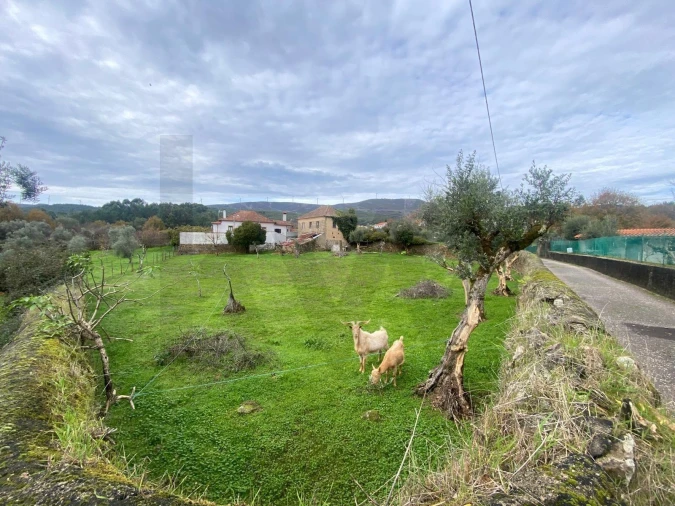 Moradia T2 para Venda em Castanheira de Pêra e Coentral Foto 4