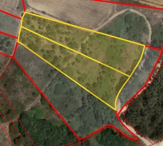 Terreno para Venda em Olhalvo Foto 2