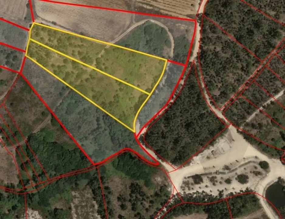 Terreno para Venda em Olhalvo Foto 1