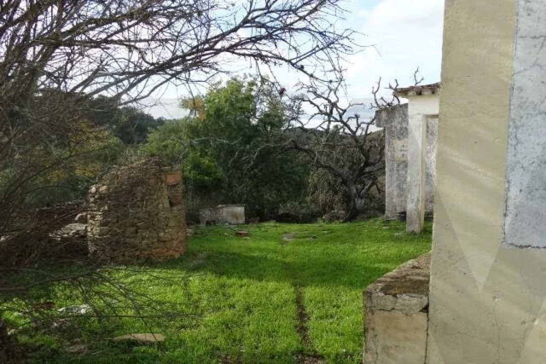 Terreno para Venda em Santana da Serra Foto 18