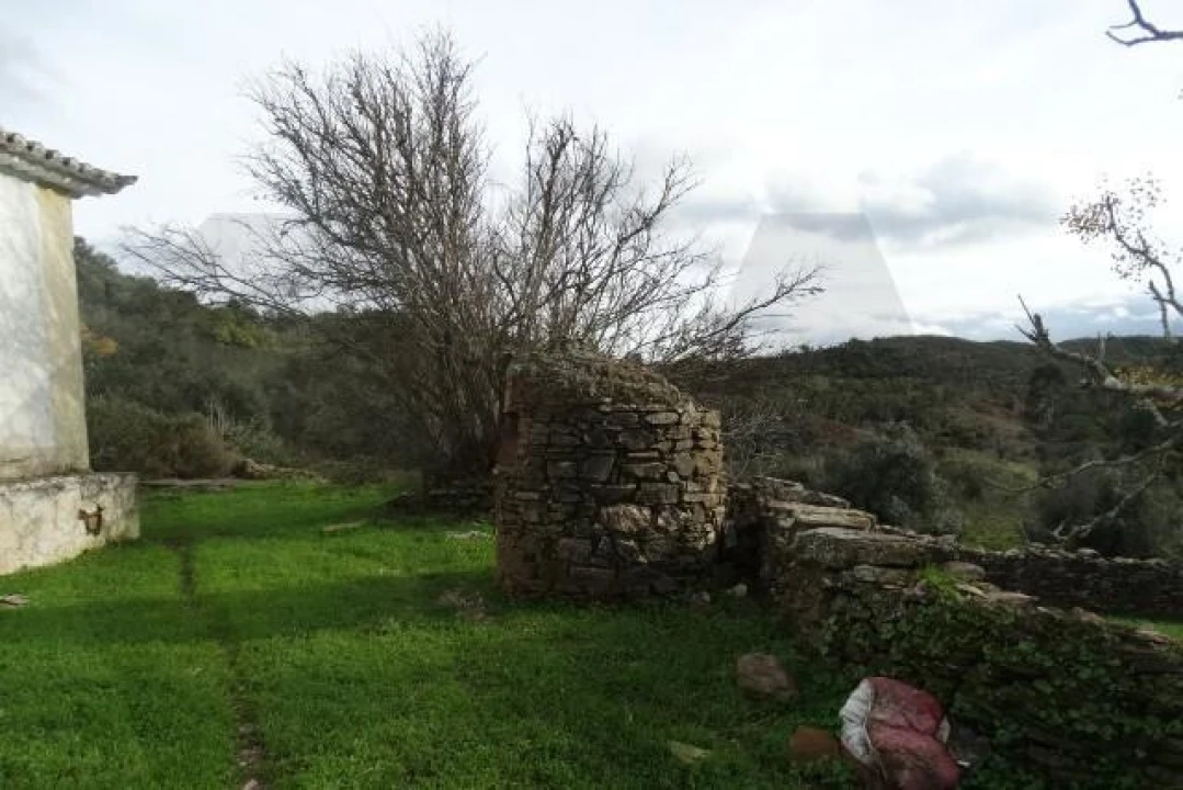 Terreno para Venda em Santana da Serra Foto 14