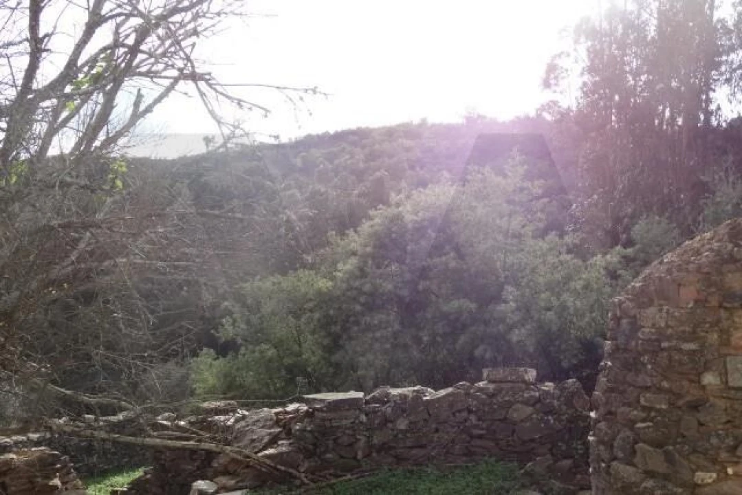 Terreno para Venda em Santana da Serra Foto 19