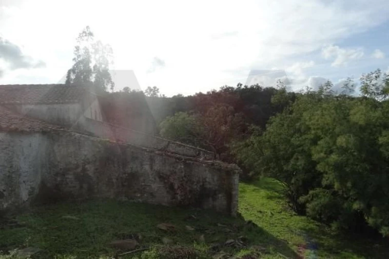 Terreno para Venda em Santana da Serra Foto 24