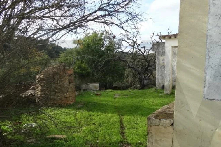 Terreno para Venda em Santana da Serra Foto 18