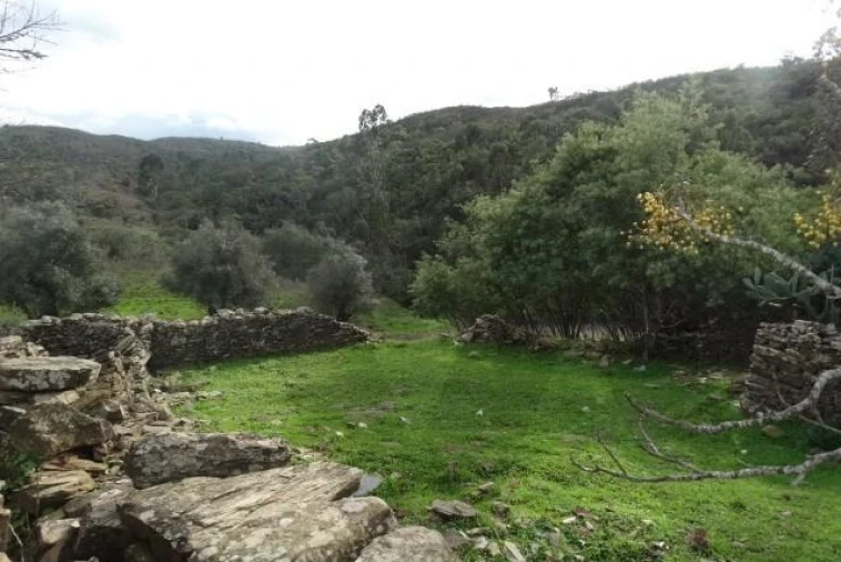 Terreno para Venda em Santana da Serra Foto 15