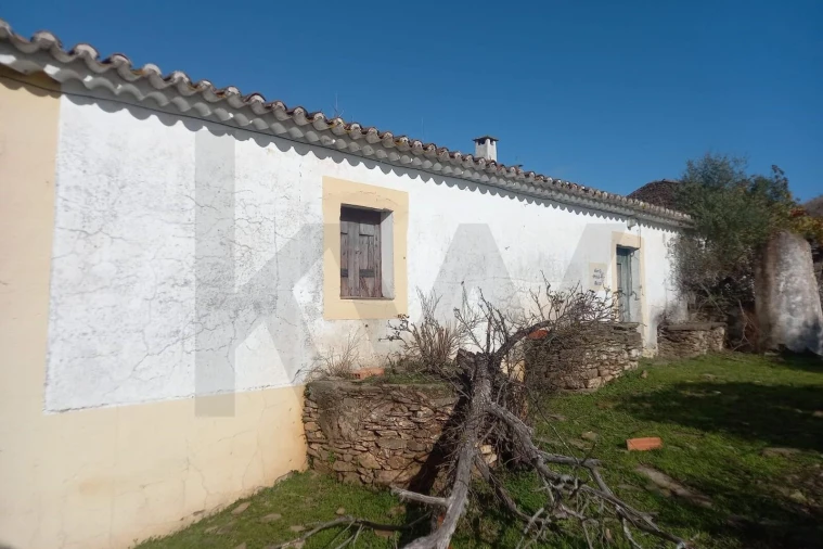 Terreno para Venda em Santana da Serra Foto 6