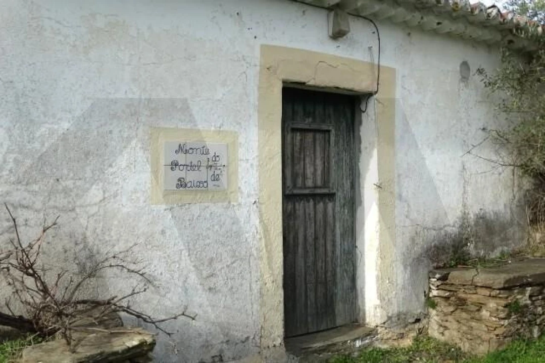 Terreno para Venda em Santana da Serra Foto 8