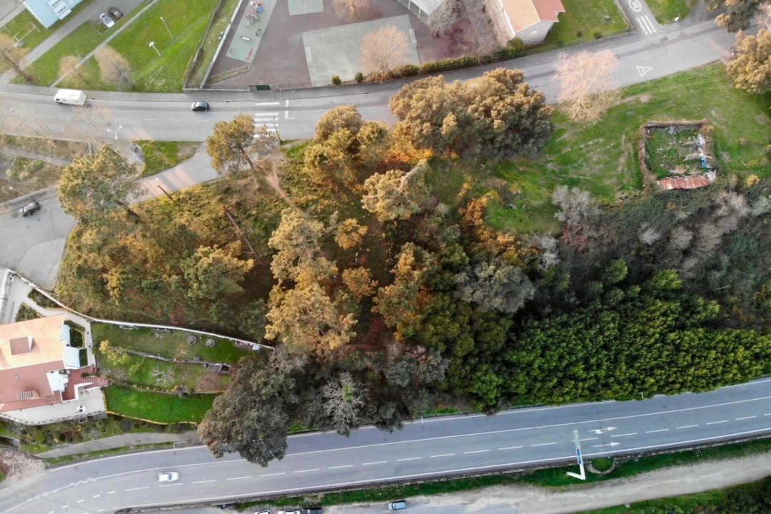 Terreno para Venda em Campanhã Foto 10
