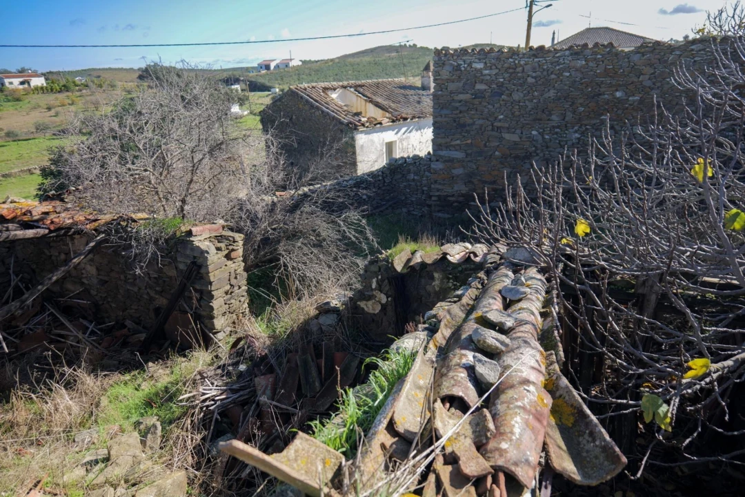 Terreno para Venda em Alcoutim e Pereiro Foto 10