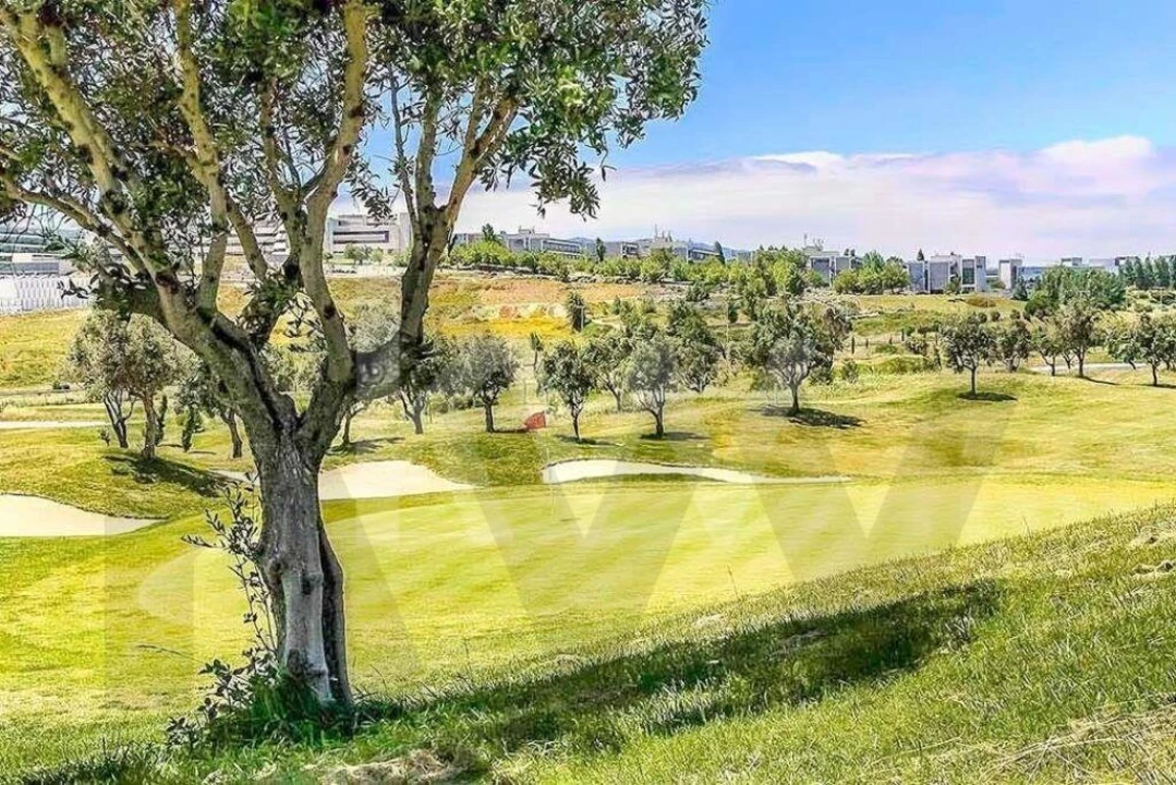 Terreno para Venda em Barcarena Foto 32