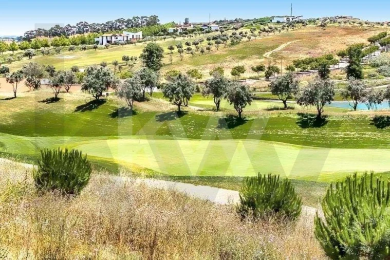 Terreno para Venda em Barcarena Foto 34