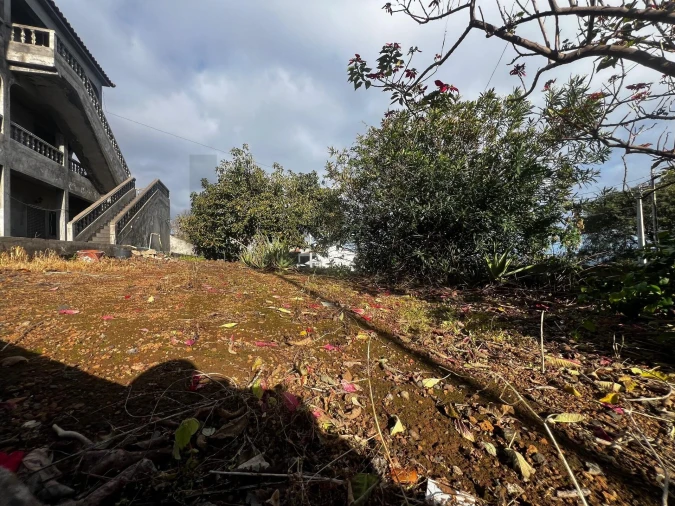 Moradia T5 para Venda em Gaula Foto 1