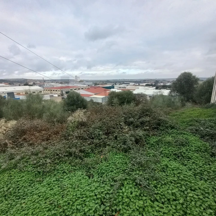 Terreno para Venda em Barbacena e Vila Fernando Foto 27
